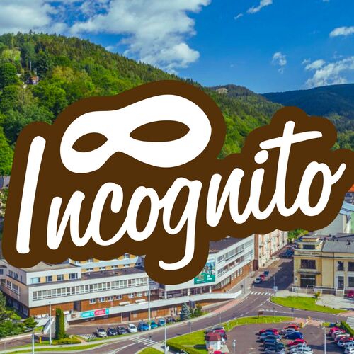 Hotel Incognito