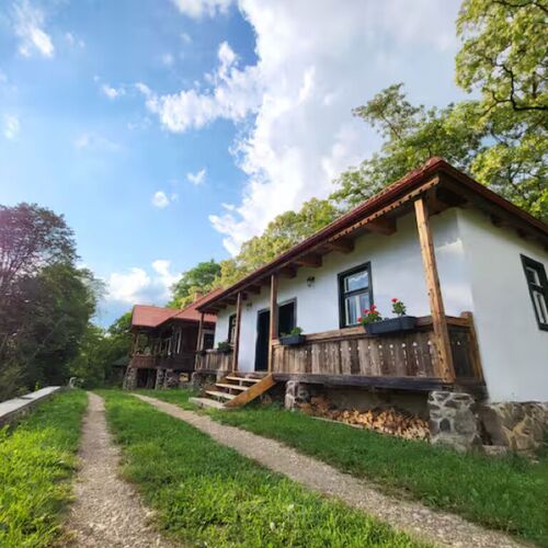 Room 1 in Arboretum Guesthouse Șoimeni