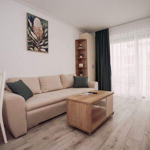 Adora Park David Apartament Arad