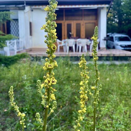 Vintage Lake House Siófok