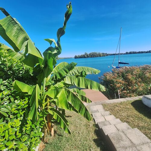 Vízparti Horgász és Nyaraló Ház Gyékényes