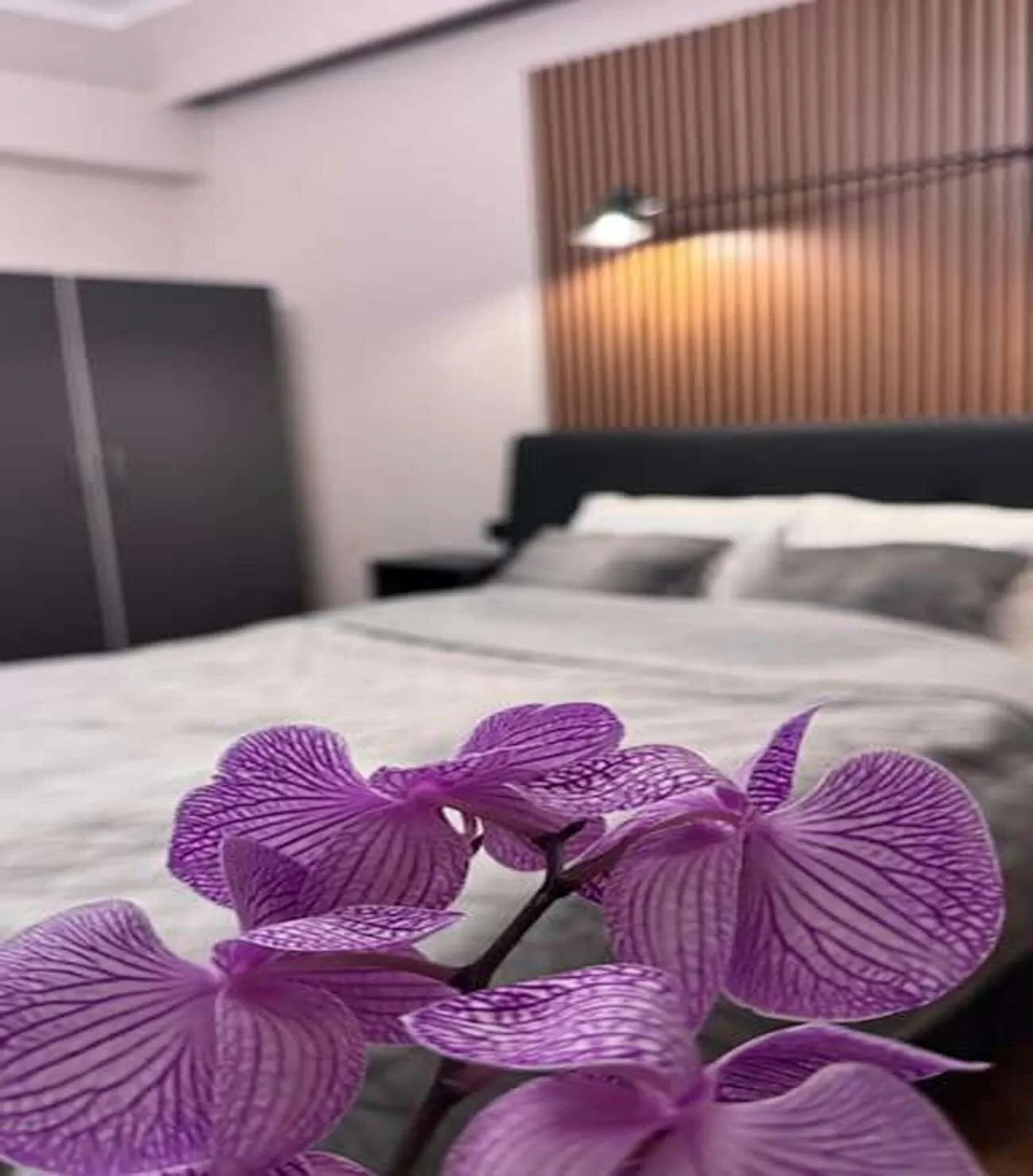 Apartament Comfort & Style Victoriei București