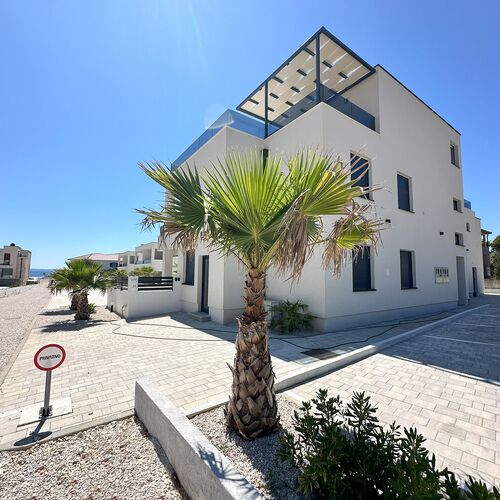 Apartments B Palm Tree Vir