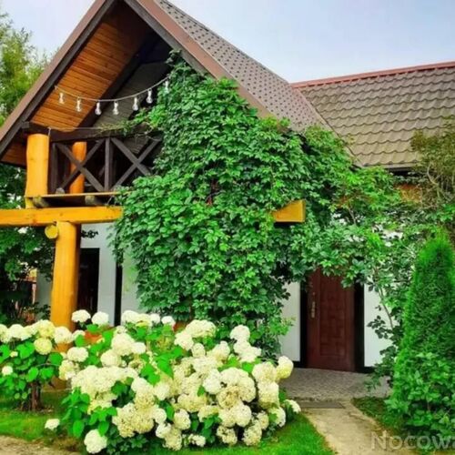 Domki  Zielona Ostoja Czarna Dąbrówka