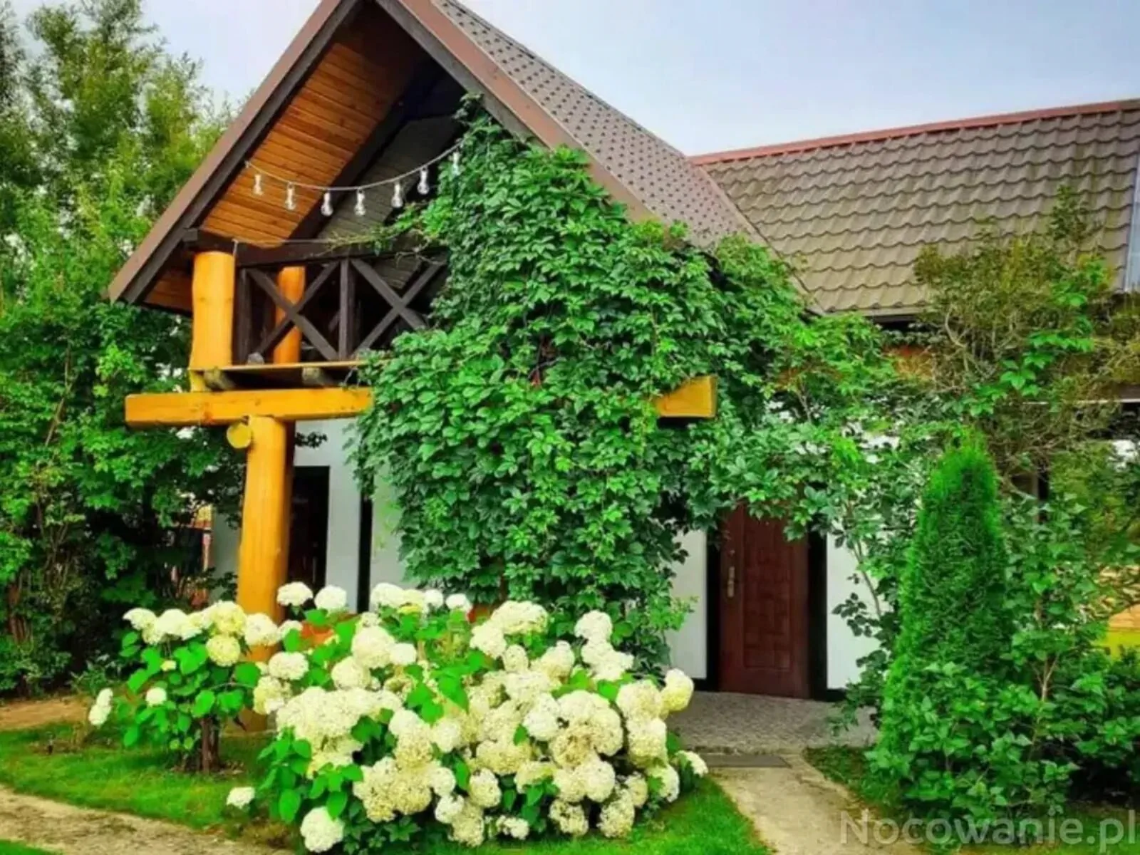 Domki Zielona Ostoja Czarna Dąbrówka