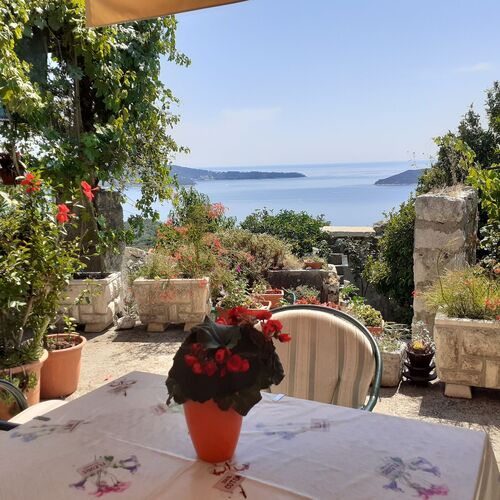 Apartment Miho Trsteno