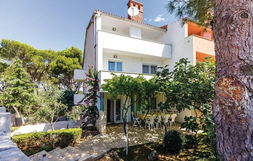 House Pineta Art Home Vinkuran