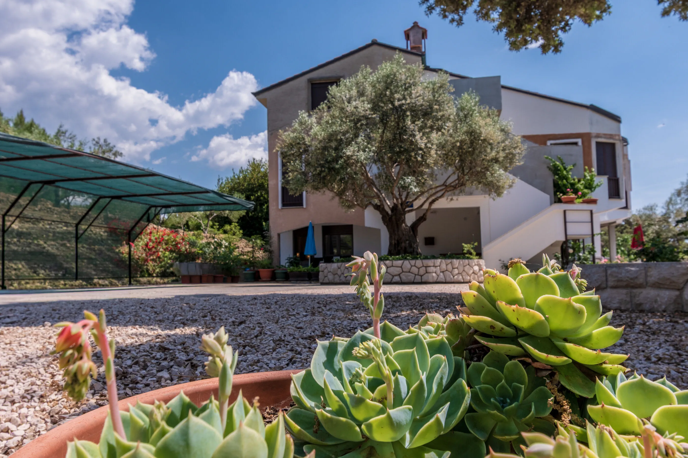 Apartments Villa Ana Palit
