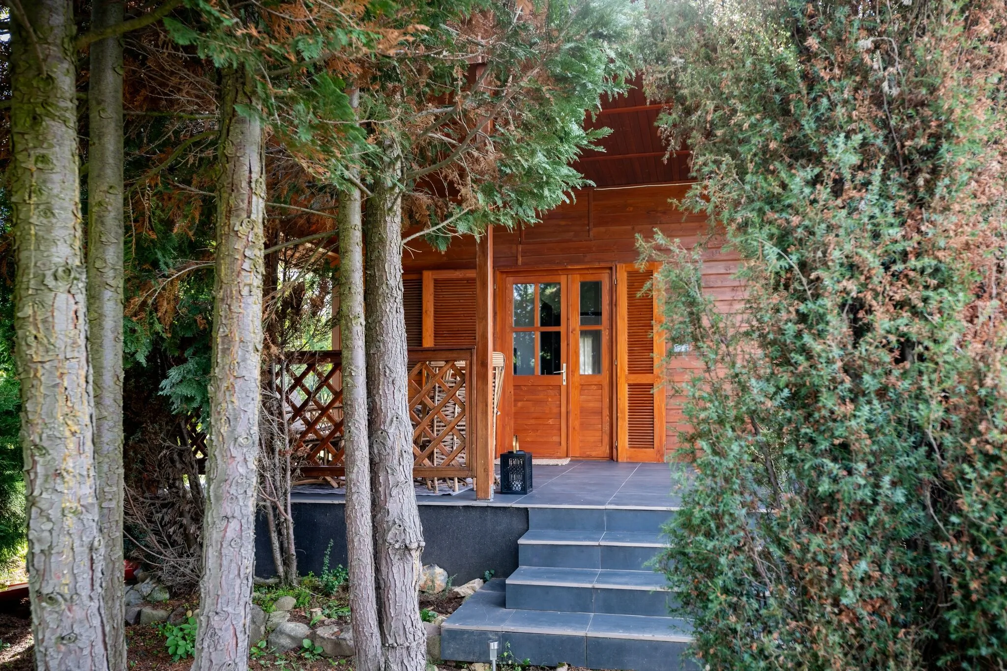 Bodony Cottage Vendégház