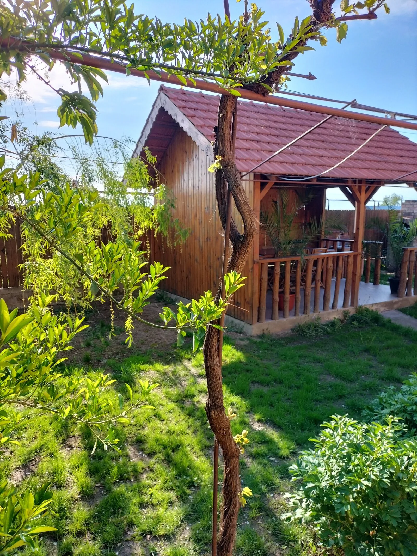 Casa Cami Jurilovca