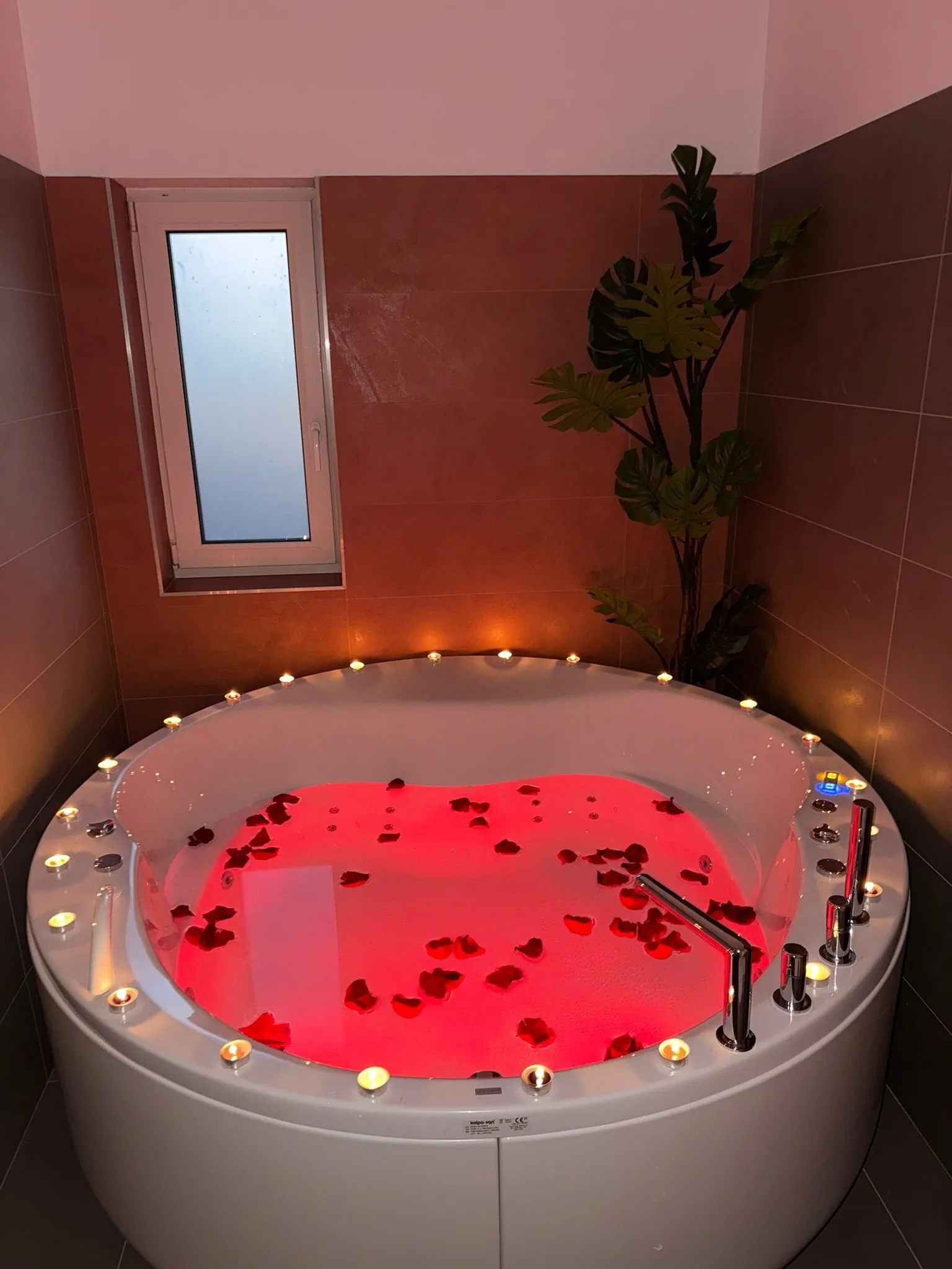 Apartament Jacuzzi Romantic Timișoara