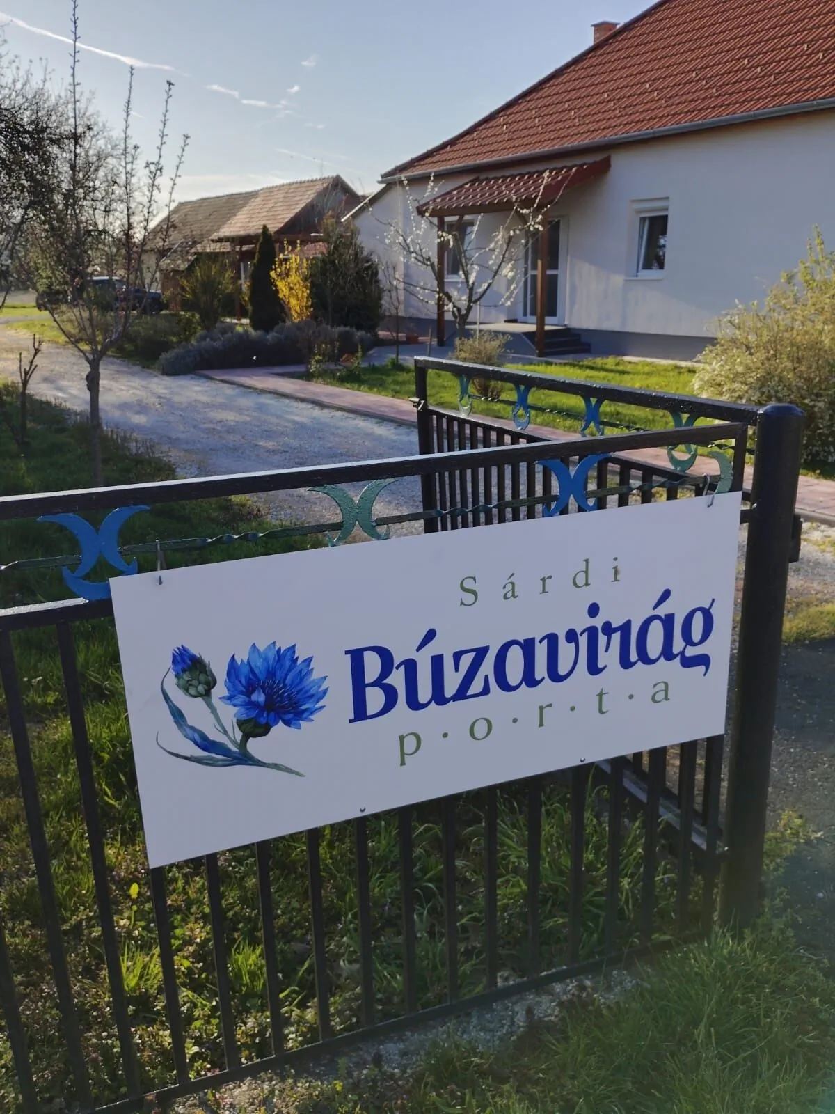 Sárdi Búzavirág Porta Belsősárd