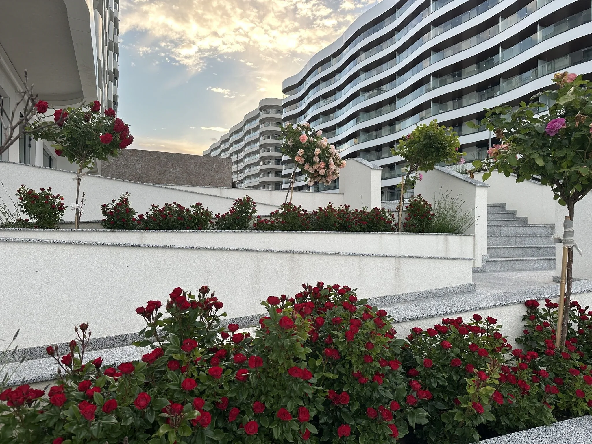 Apartament Rue Seaside Studio Năvodari