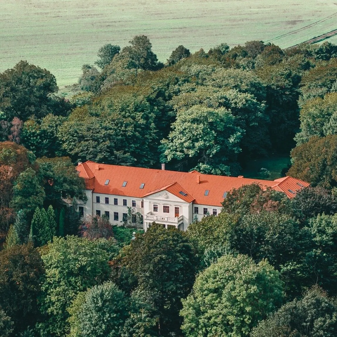 Pałac Grąbkowo