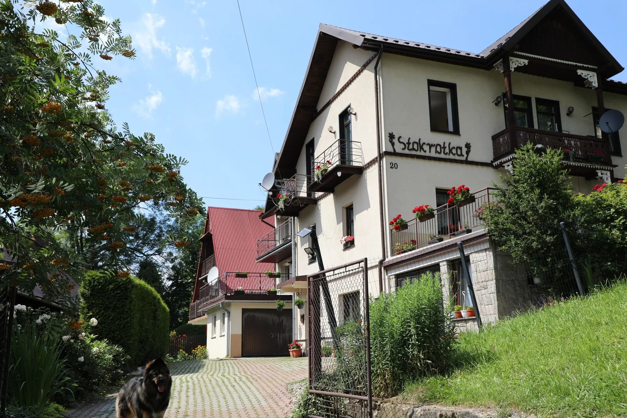 Stokrotka Pokoje i Apartamenty Szczawnica