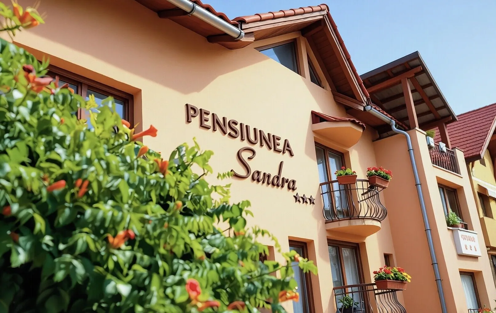 Pensiunea Sandra Ocna Şugatag