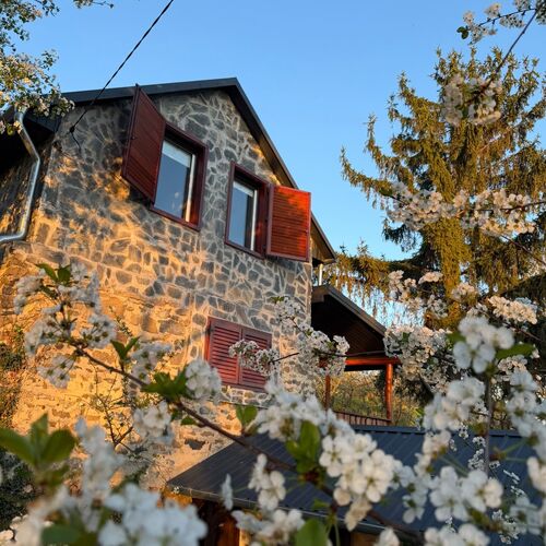 Vinea Apartman Vindornyaszőlős