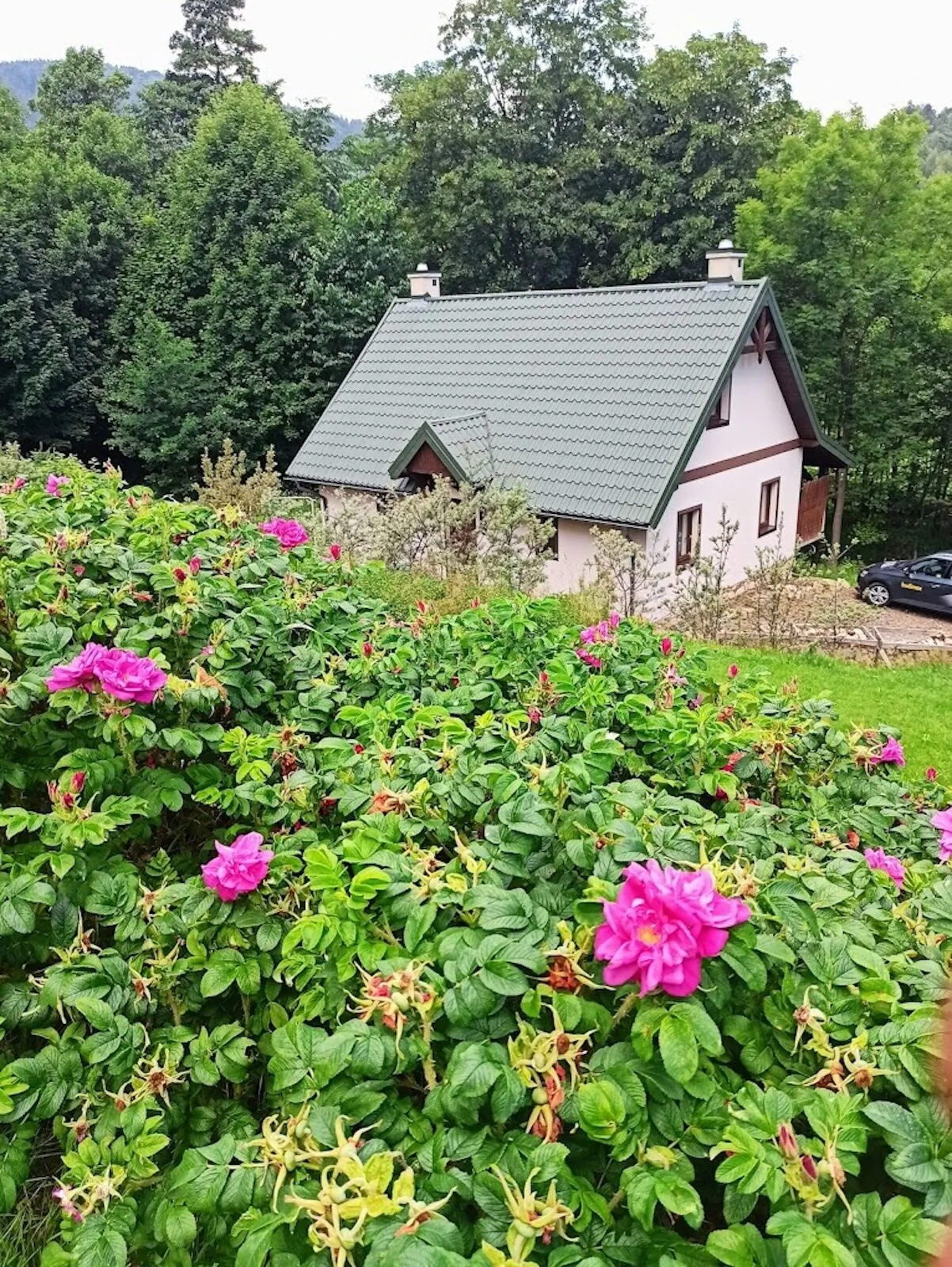 Wesoła Chmura