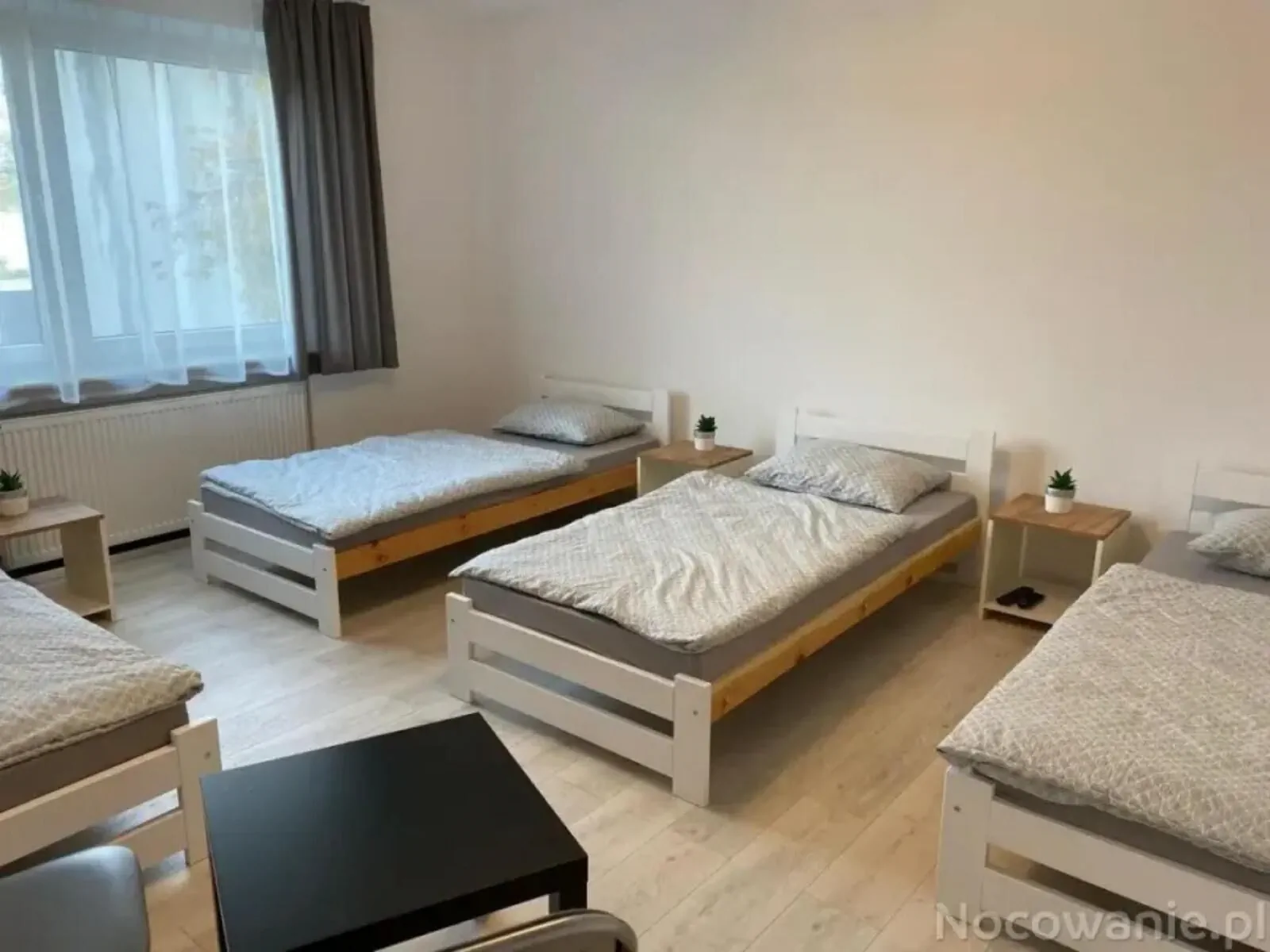 Pokoje Ars Trans Konin