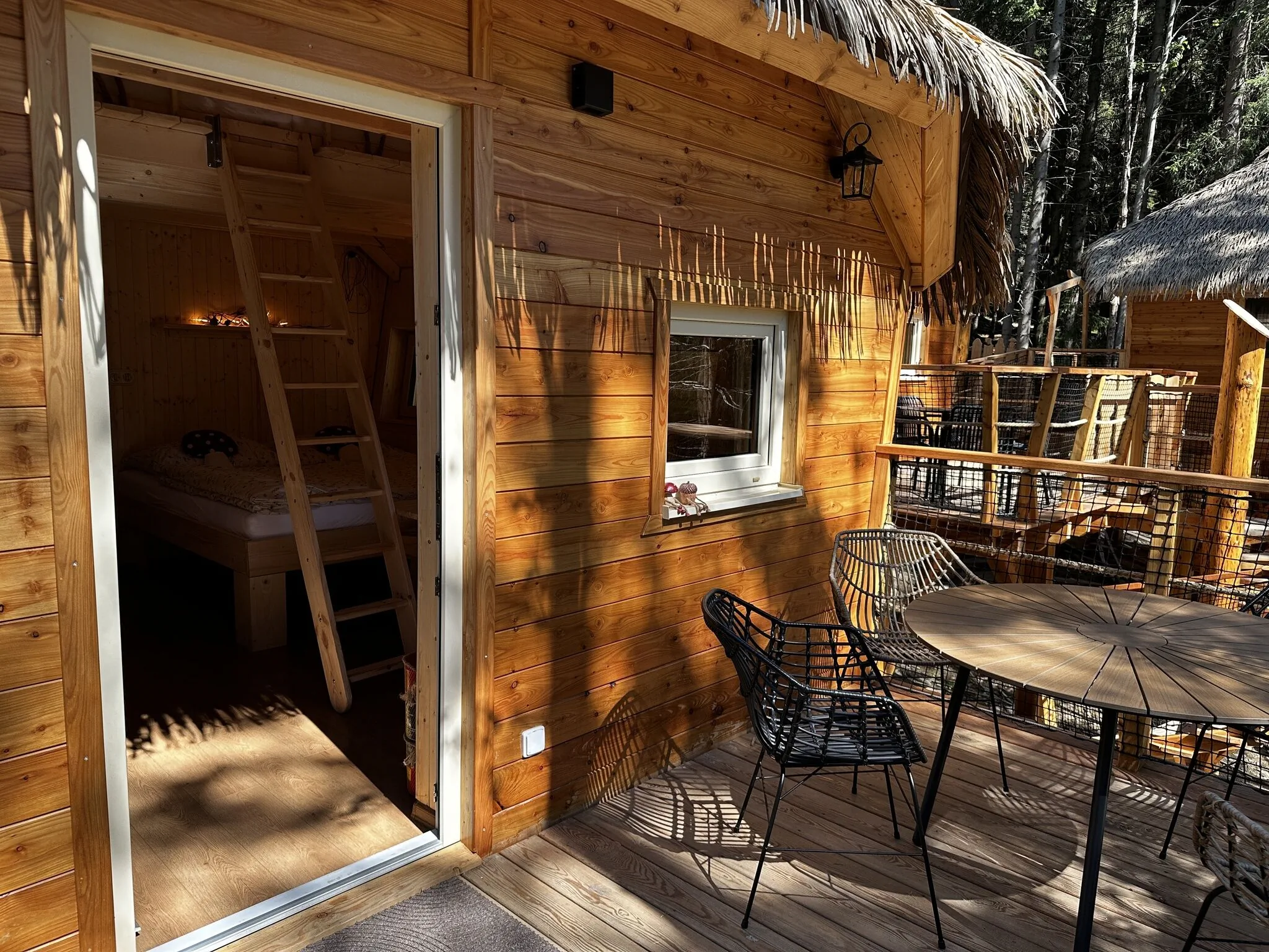Treehouses Karlov pod Pradědem