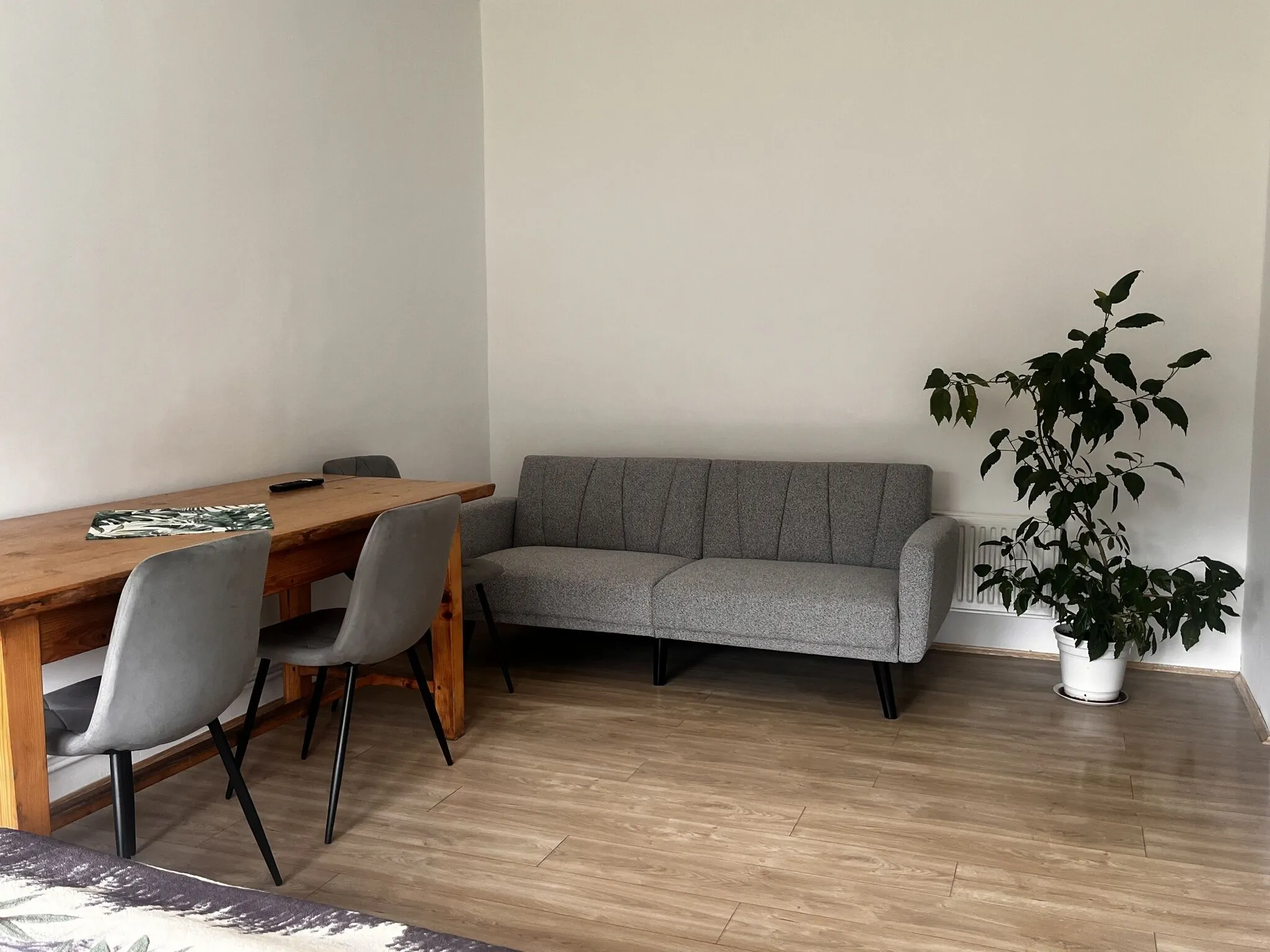 Mieszkanie w centrum Bieszczad Pszczeliny