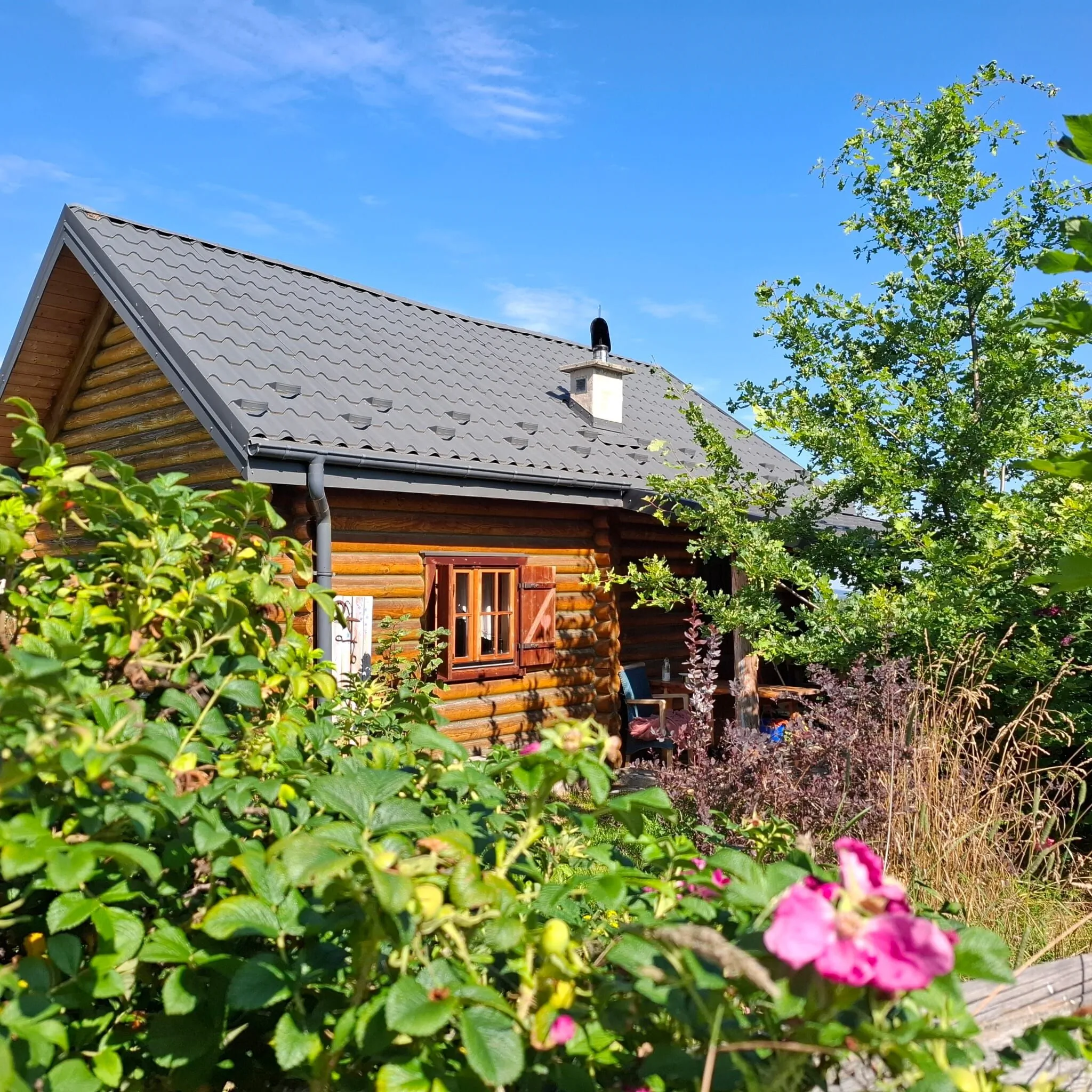 Domek pod Dębem - Agroturystyka Izerska Zagroda
