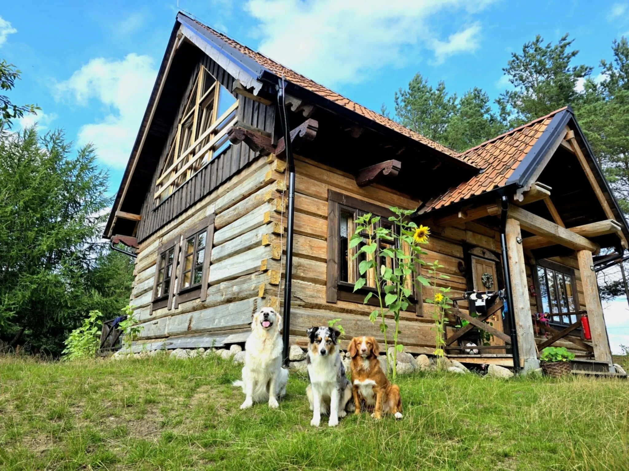 Leśne Lato - Dom nad rzeką Wdą
