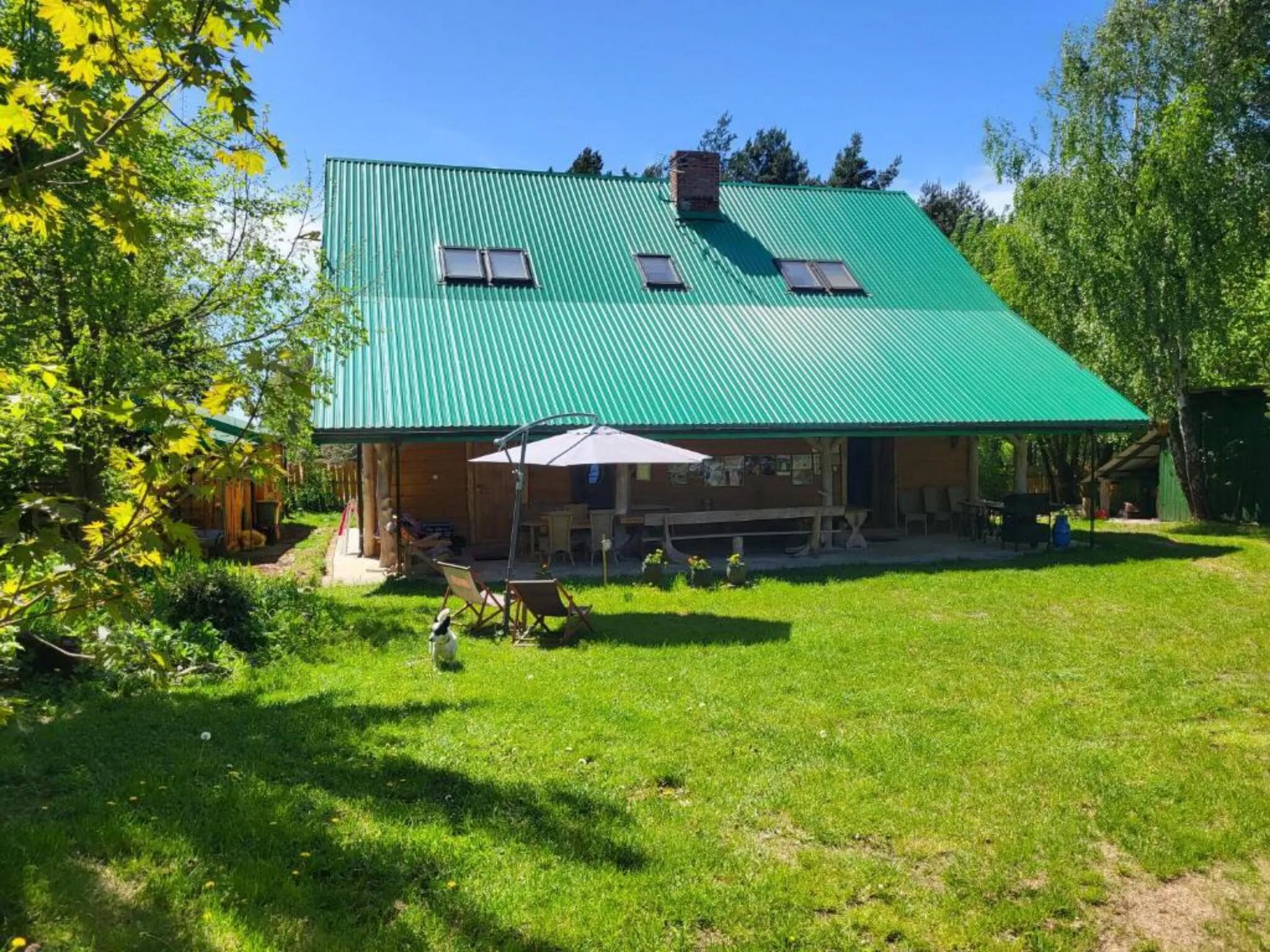 Pyzówka Raków