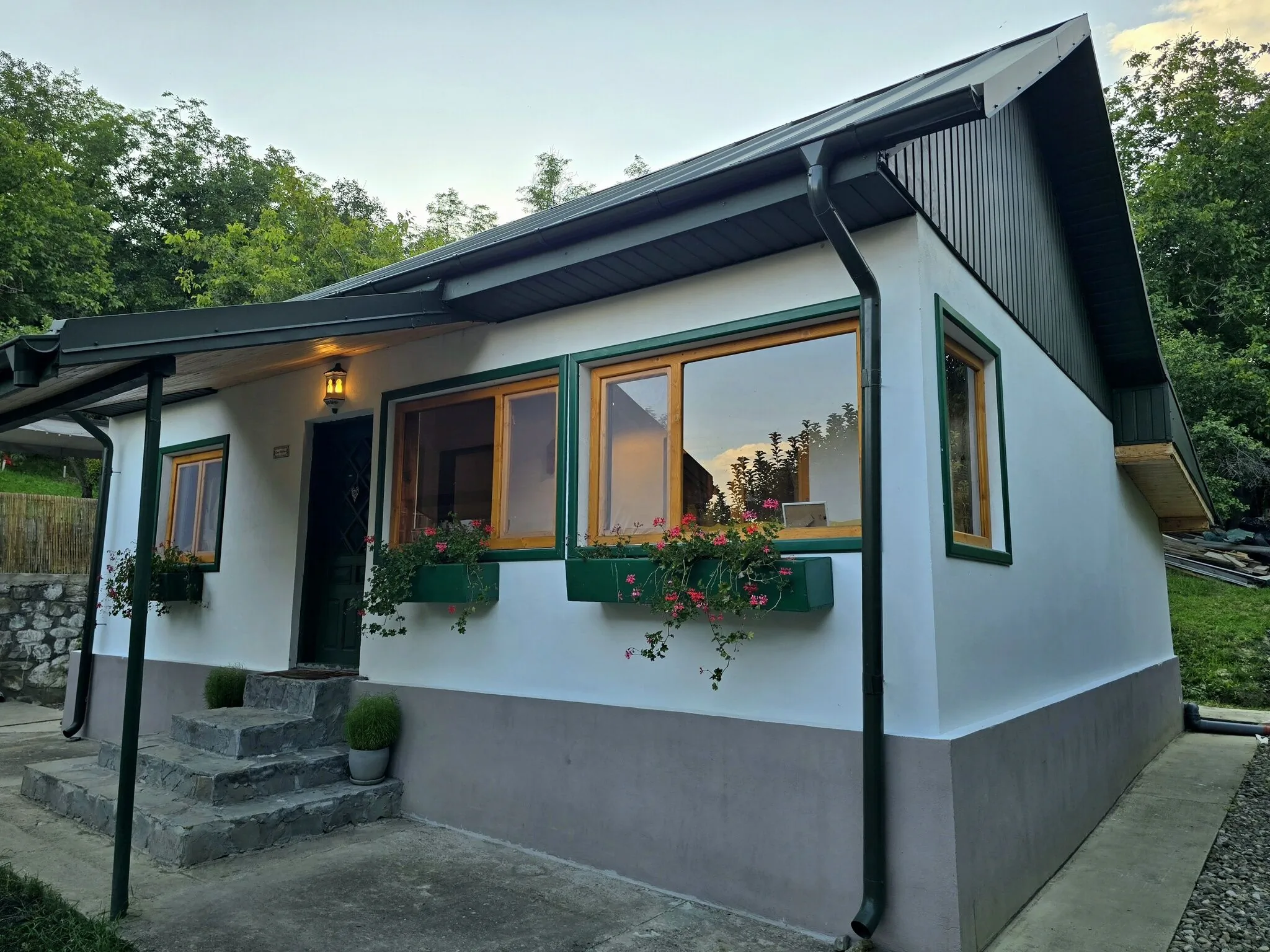Casa Vintila Green Retreat Petrăchești