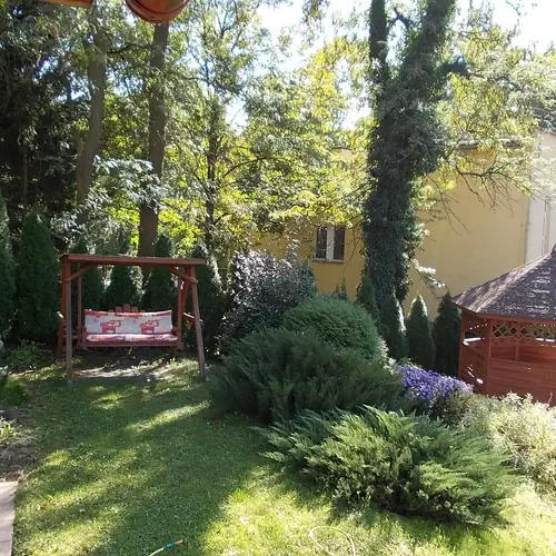 F&eacute;nyk&eacute;p a kertről