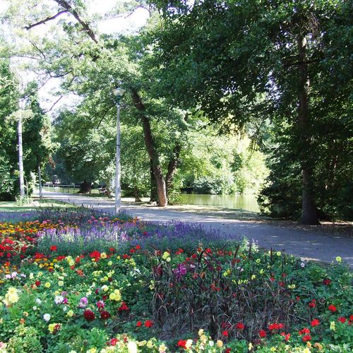 őshonos park Miskolctapolca