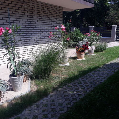 Zsuzsa Apartman Hévíz  4