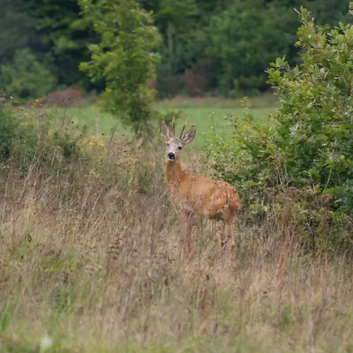 Tücsöktanya Vendégház Kétvölgy 013 kép