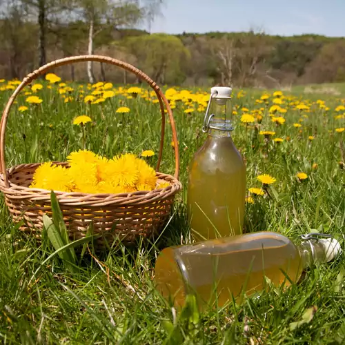 Tücsöktanya Vendégház Kétvölgy 016 kép