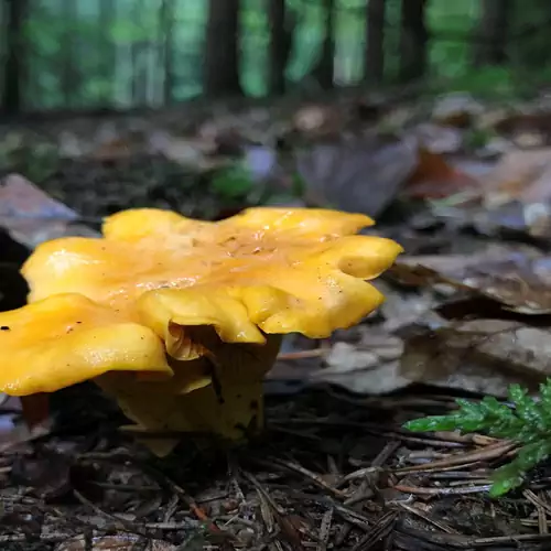 Tücsöktanya Vendégház Kétvölgy 022 kép