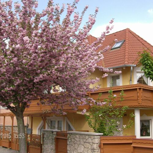 Zsuzsanna Apartman Hévíz