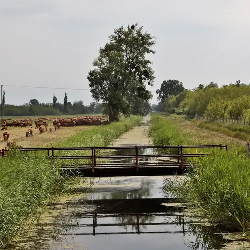 Hubertus Hof Landhotel sétálós környéke