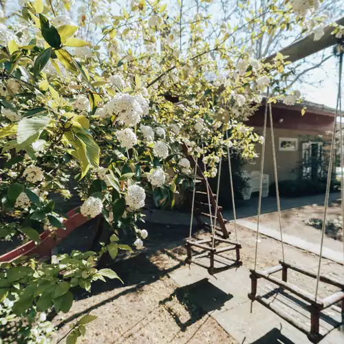 Villa Dorottya Balatonföldvár 014 kép