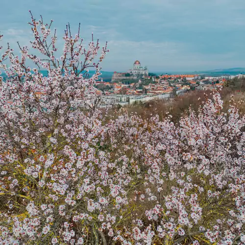 Decsi Vendégház Esztergom 007 kép