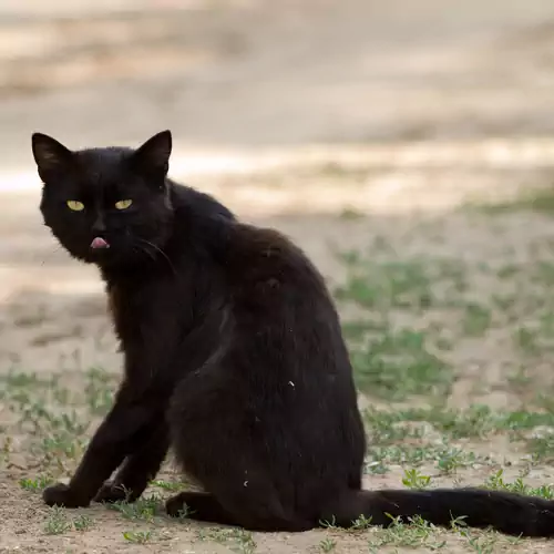 Bihari Lovas Tanya Nyíregyháza 016 kép