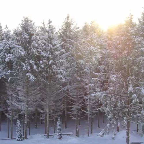 Gosztola Gyöngye - az erdő szállodája Gosztola 028 kép