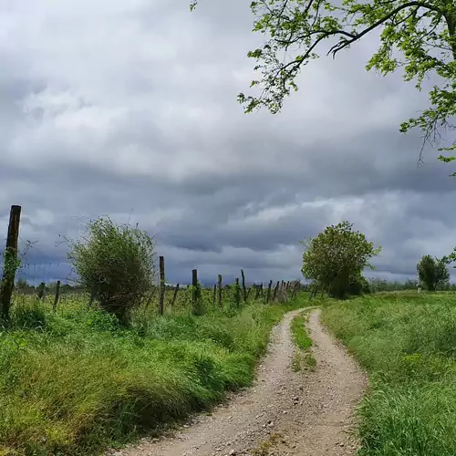 Boróka és Galagonya Vendégház Helesfa 022 kép