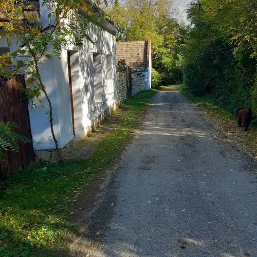Bodzás Vendégház Ganna 027 kép