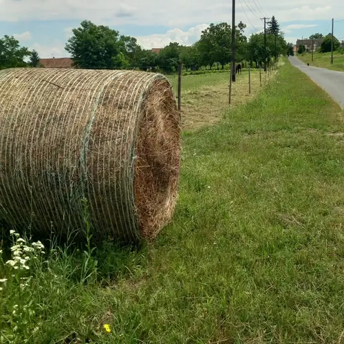 Bodzás Vendégház Ganna 032 kép