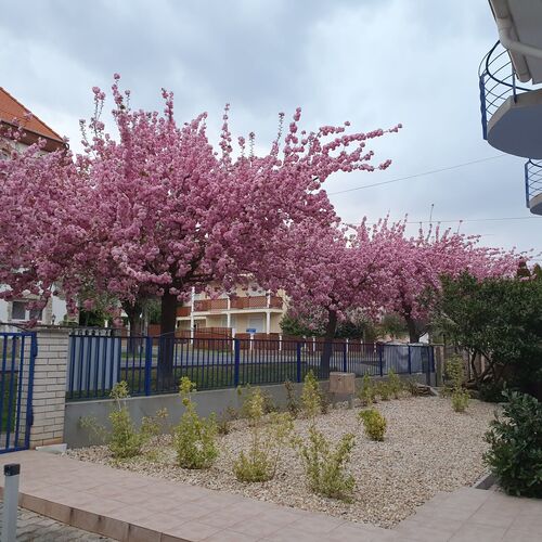 Laguna Apartman Hévíz  3