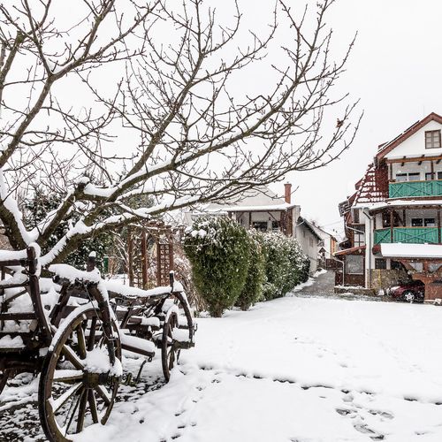Kaktusz Villa Hévíz  4