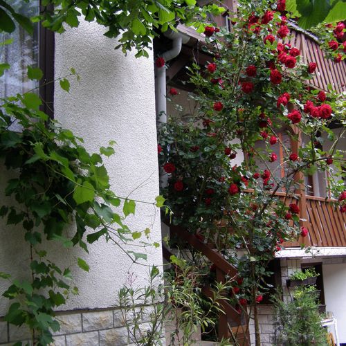 Nádas Apartmanház Keszthely  3