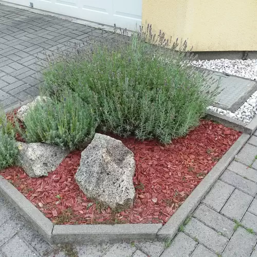 Hajas Familia Kiadó Szobák Balatonmáriafürdő 005 kép