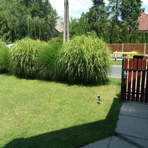 Hajas Familia Kiadó Szobák Balatonmáriafürdő 011 kép