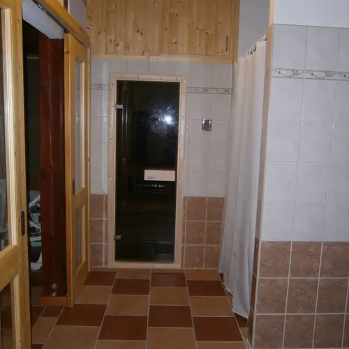 Wellness-Infra szauna